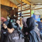 Deteksi Kebuntingan Dini (USG) dan Praktik Potong Kuku Domba