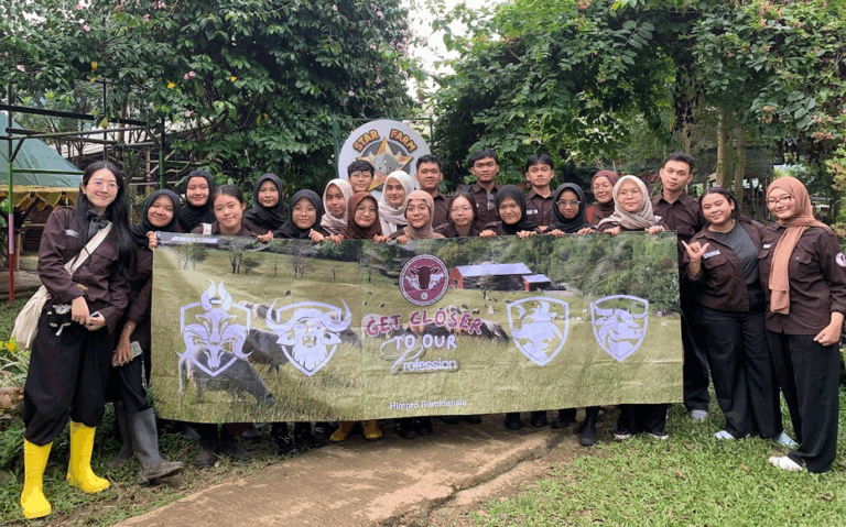 Jelajahi Produksi Susu Sapi dari Kandang Hingga ke Gelas