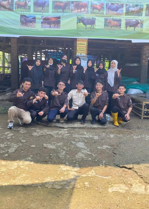 visit-saper-1