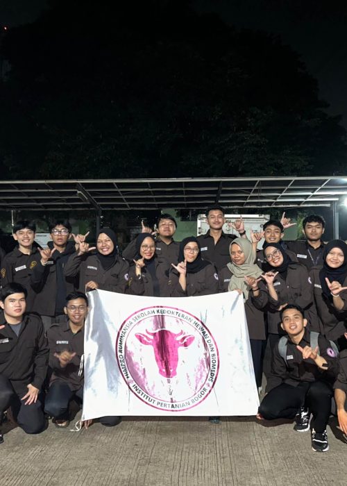 visit-saptong-1